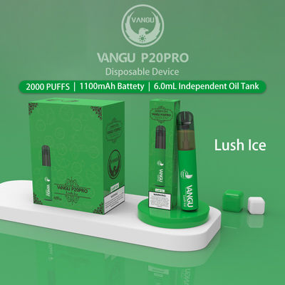 35g 6.0ml 50mg Flavored E Cigarette Salt Nic 2000 Puffs Disposable Vape Pen
