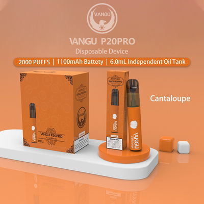 6.0ml Cantaloupe Liquid Electronic Cigarette 2000 Puffs Mesh Coil